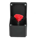 The Potato Chip Snake Can Jump Stage Magic Tricks Spring Snake Toy April Fool Day Halloween Party Jokes in A Can Gag Gift Prank