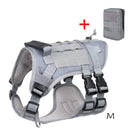 Colete resistente para cães de trabalho — arnês confortável, antitração e ajustável para cães de médio porte.